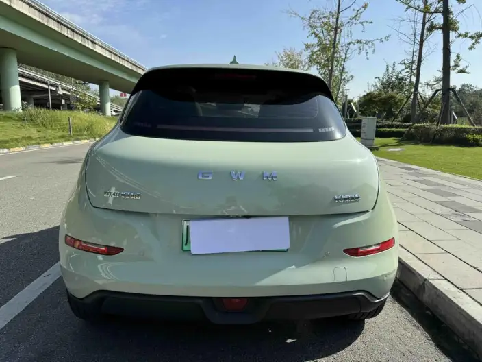 ORA Good Cat 2025 Model 430km Luxury Model – фото 4