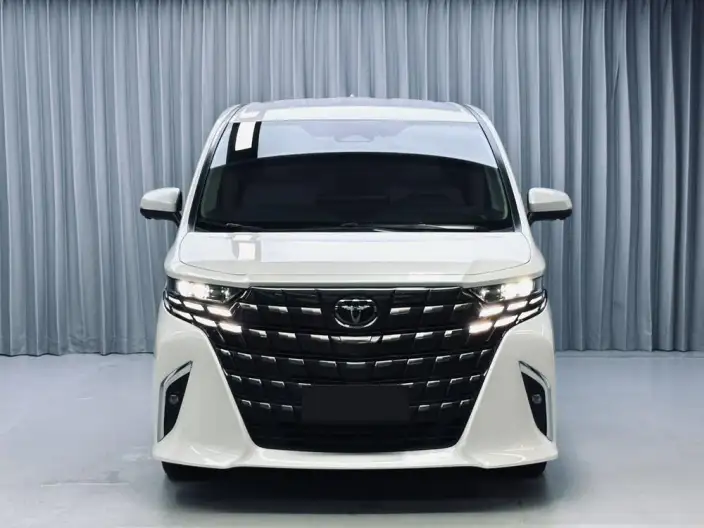 Elfa 2025 Model 2.5L Intelligent Hybrid 4WD Zhen Xiang Gold Edition – фото 2