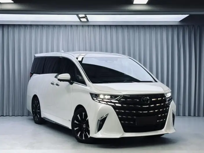 Elfa 2025 Model 2.5L Intelligent Hybrid 4WD Zhen Xiang Gold Edition – фото 3