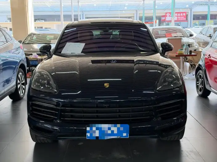 Cayenne 2023 Model Cayenne 3.0T Platinum edition – фото 2