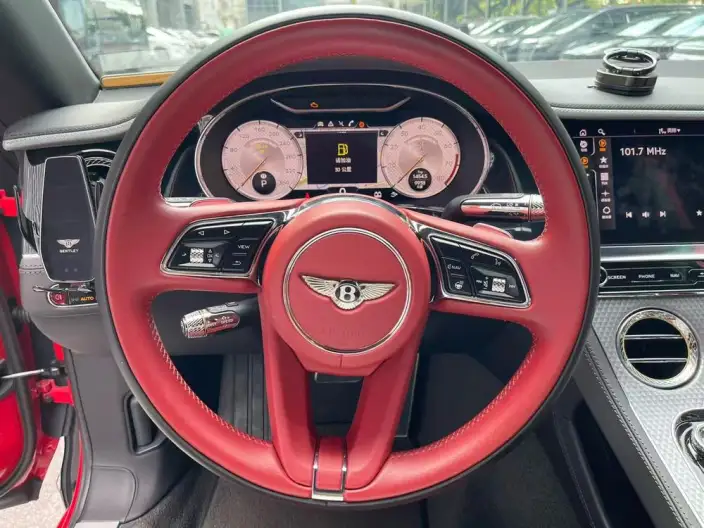 Continental 2022 Model 4.0T GT V8 Mulliner – фото 10