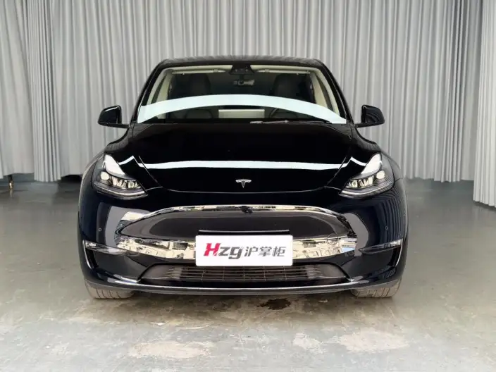 Model Y 2022 Model Facelift Long Battery Life Pro All-wheel drive version – фото 2
