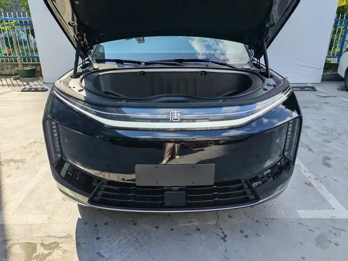 Datang EV 2026 Model 950KM Rear Drive LiDAR Flagship Model – фото 8
