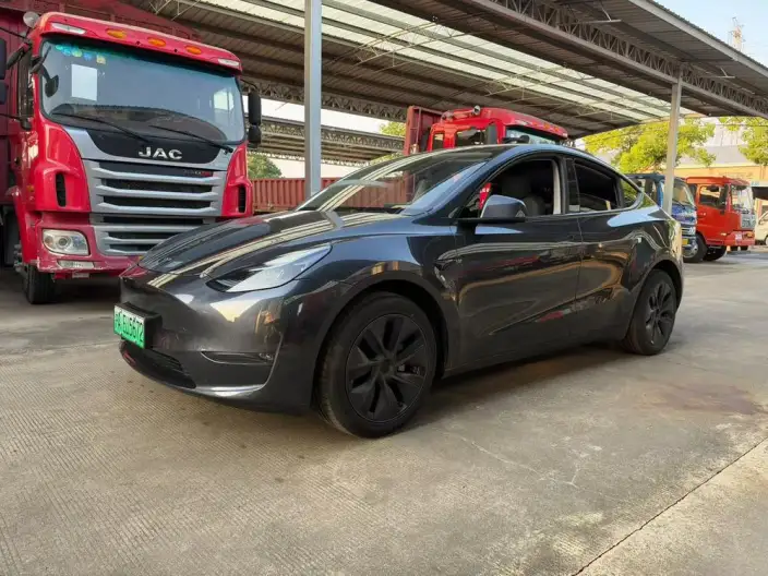 Model Y 2024 Model Long Battery Life Pro All-wheel drive version – фото 1