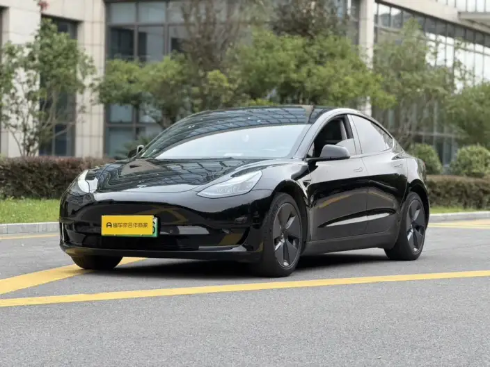 Model 3 2022 Model Rear-wheel drive version – фото 1