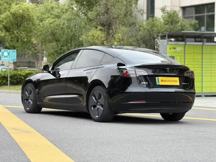 Model 3 2022 Model Rear-wheel drive version – фото 5