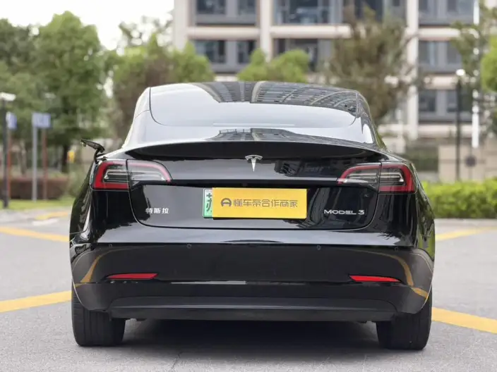 Model 3 2022 Model Rear-wheel drive version – фото 6