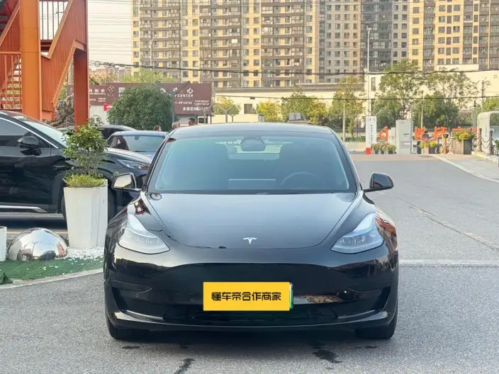 Model 3 2022 Model Rear-wheel drive version – фото 2