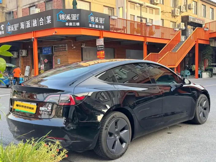 Model 3 2022 Model Rear-wheel drive version – фото 6