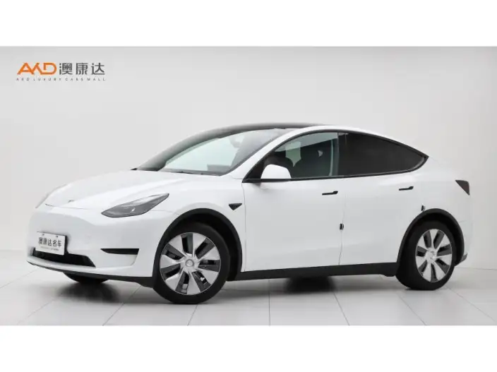 Model Y 2022 Model Facelift Rear-wheel drive version – фото 1