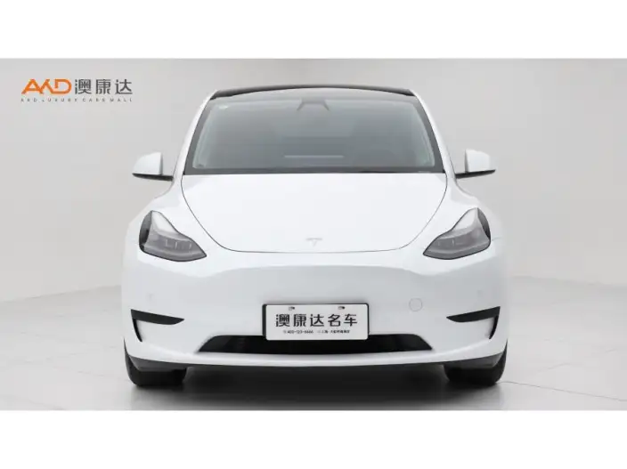 Model Y 2022 Model Facelift Rear-wheel drive version – фото 2