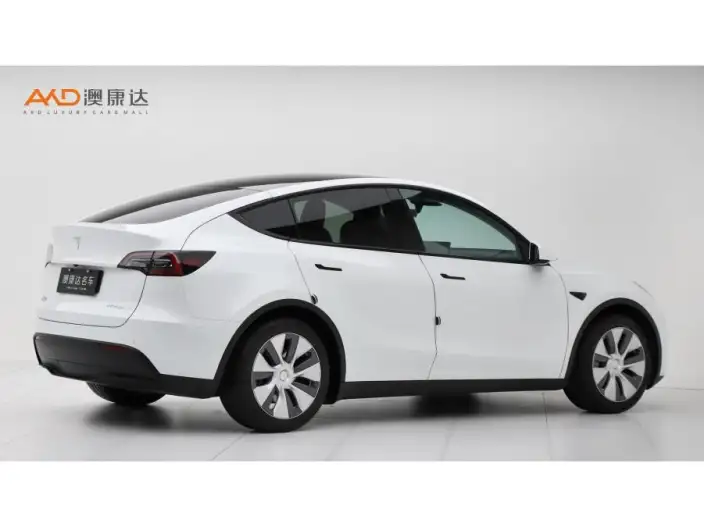 Model Y 2022 Model Facelift Rear-wheel drive version – фото 4
