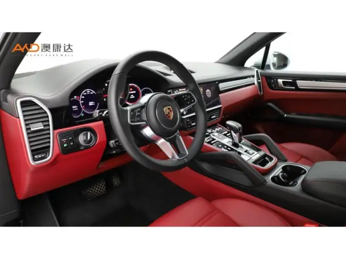 Cayenne 2023 Model Cayenne 3.0T Platinum edition – фото 7