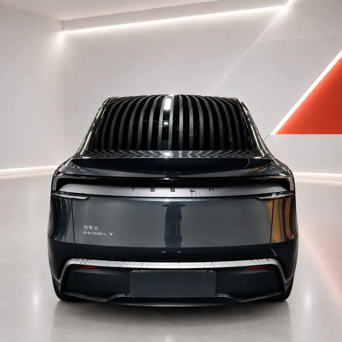 Model Y 2025 Model Rear-wheel drive version – фото 5