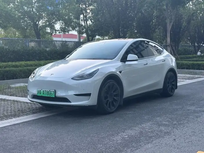 Model Y 2022 Model Facelift Rear-wheel drive version