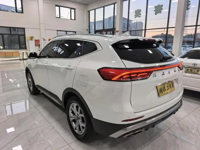 Haval H6 2021 Model Guo Trendy Edition 1.5T Automatic Champion Edition – фото 4