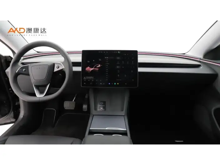 Model 3 2023 Model Rear-wheel drive version – фото 6