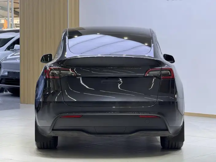 Model Y 2024 Model Long Battery Life Pro All-wheel drive version – фото 6