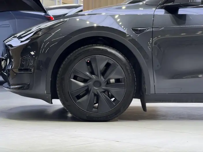 Model Y 2024 Model Long Battery Life Pro All-wheel drive version – фото 9