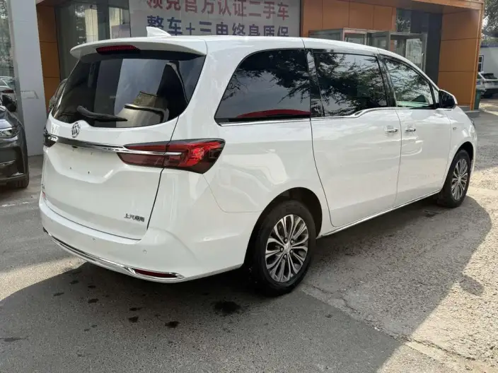 Buick GL8 2023 Model Business class 2.0T Luxury Model – фото 5