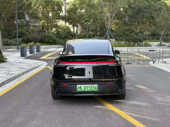 Model Y 2025 Model Rear-wheel drive version – фото 5