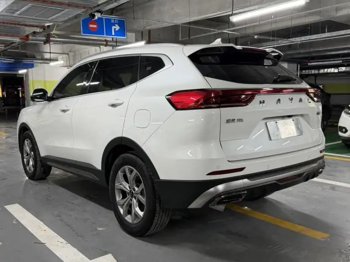Haval H6 2021 Model Guo Trendy Edition 1.5T Automatic Champion Edition – фото 4