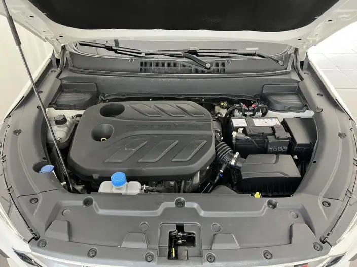 Changan Oshan X5 2021 Model 1.5T DCT Noble Model – фото 6