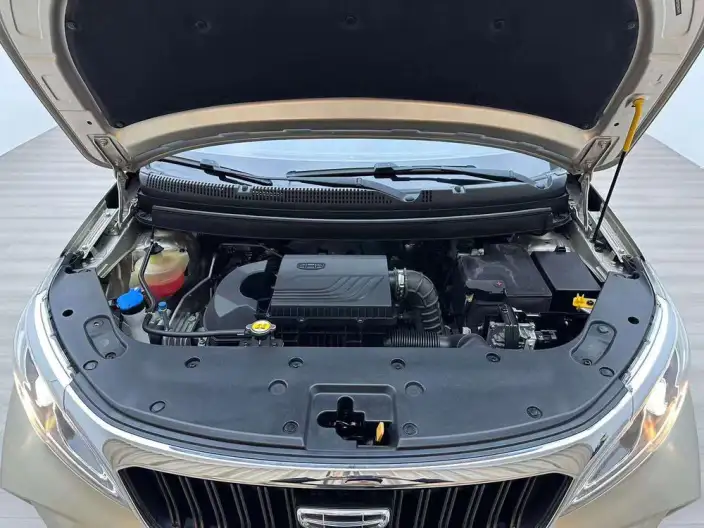 Geely Vision X3 2021 Model PRO 1.5L CVT Noble Model – фото 8