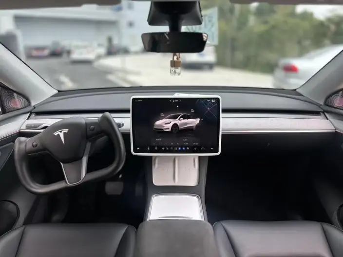 Model Y 2023 Model Rear-wheel drive version – фото 6