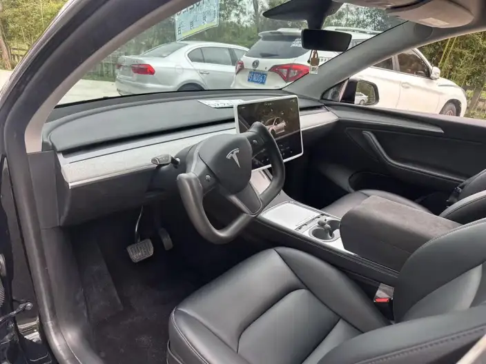 Model Y 2023 Model Rear-wheel drive version – фото 7