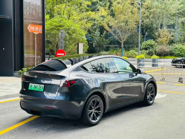 Model Y 2024 Model Rear-wheel drive version – фото 6