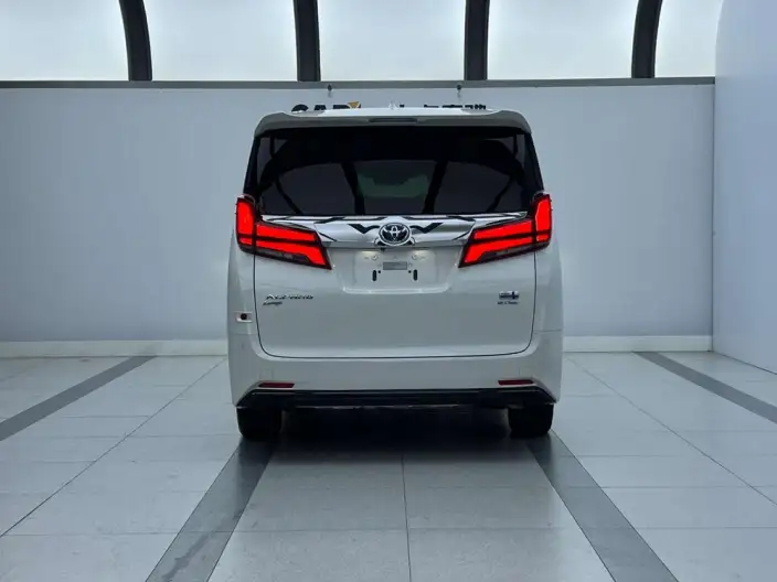 Elfa 2021 Model Hybrid 2.5L Premium Edition – фото 4