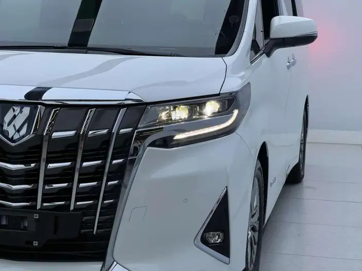 Elfa 2021 Model Hybrid 2.5L Premium Edition – фото 5