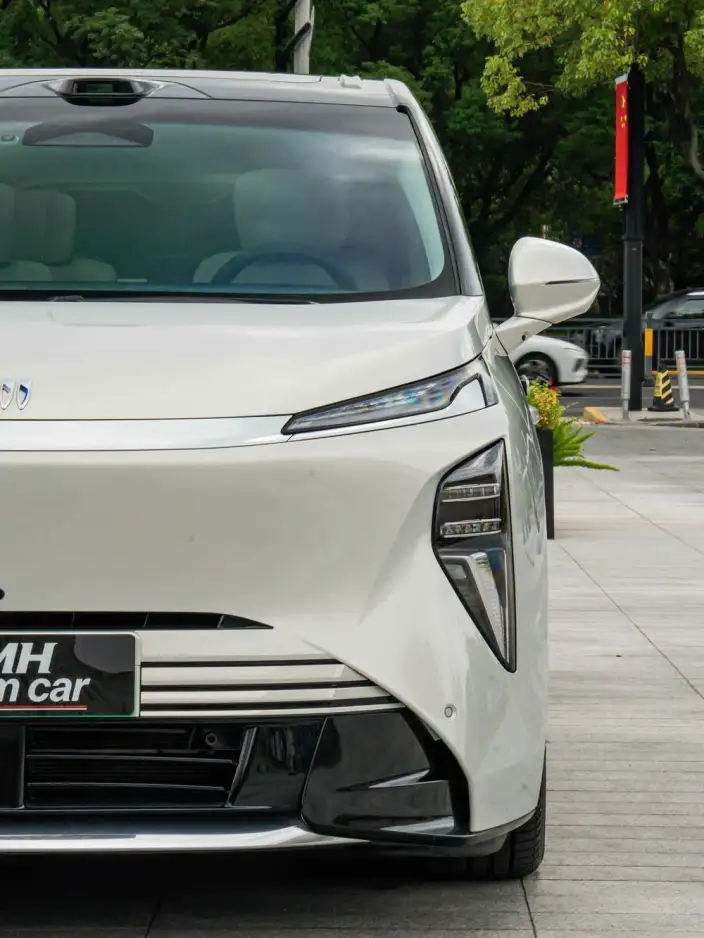 Buick Zhijing Electra Shijia 2026 Model Luxury Edition – фото 8