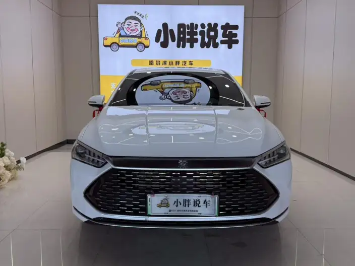 BYD Qin PLUS DM 2024 Model Honor Edition DM-i 55KM Leading Model – фото 2