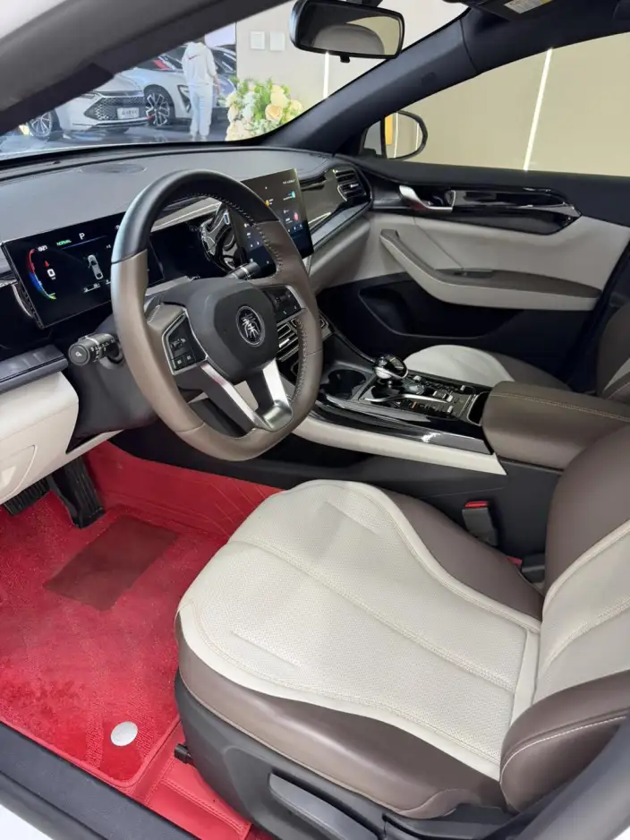 BYD Qin PLUS DM 2024 Model Honor Edition DM-i 55KM Leading Model – фото 7