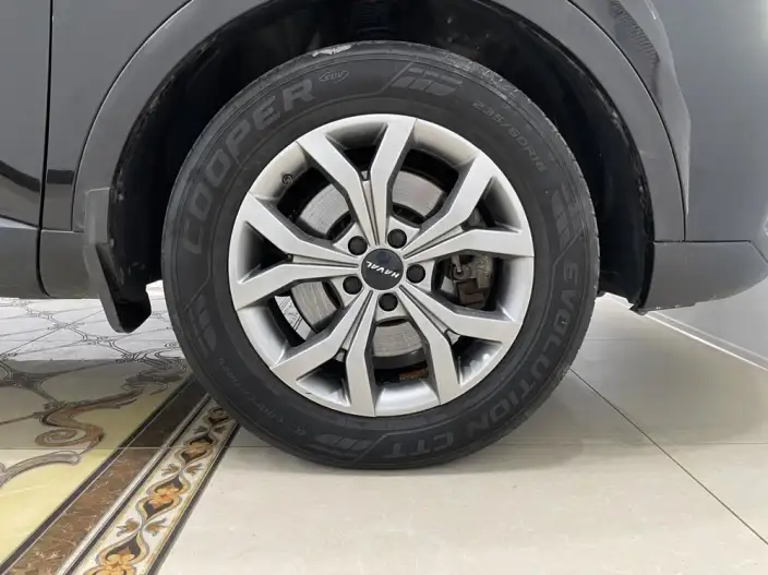Haval H6 2021 Model Guo Trendy Edition 1.5T Automatic Champion Edition – фото 7