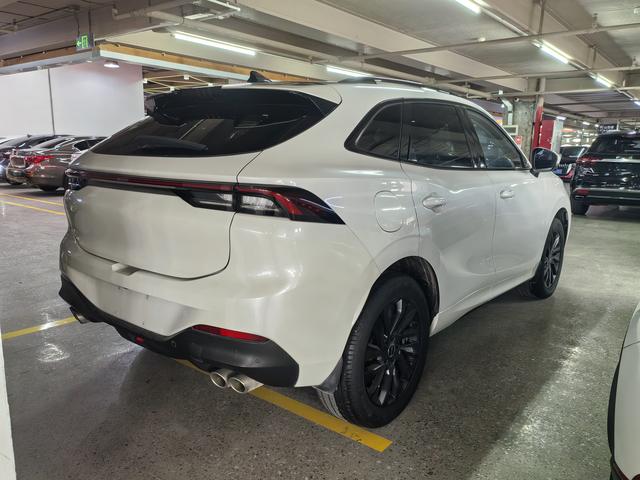Fengxing T5 EVO 2021 1.5TD DCT Diamond Edition – фото 13