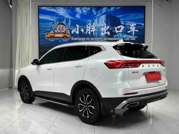 Haval H6 2021 Model Guo Trendy Edition 1.5T Automatic Urban Edition – фото 4