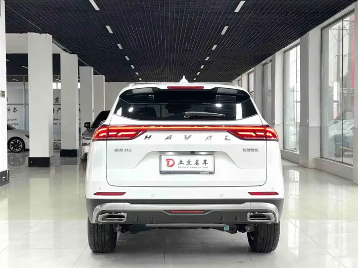 Haval H6 2021 Model Guo Trendy Edition 1.5T Automatic Champion Edition – фото 5