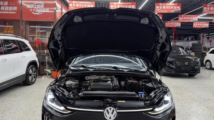 Volkswagen Lamando 2023 Model Volkswagen Lamando L 280TSI DSG Cool spicy version – фото 8