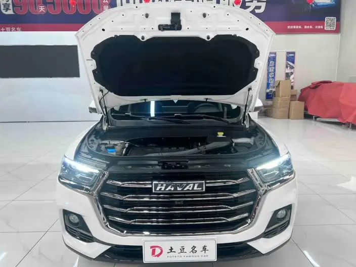 Haval H6 2021 Model Guo Trendy Edition 1.5T Automatic Champion Edition – фото 10