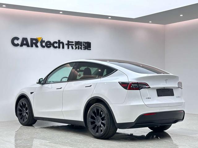 Tesla Model Y 2021 Long Range AWD – фото 3