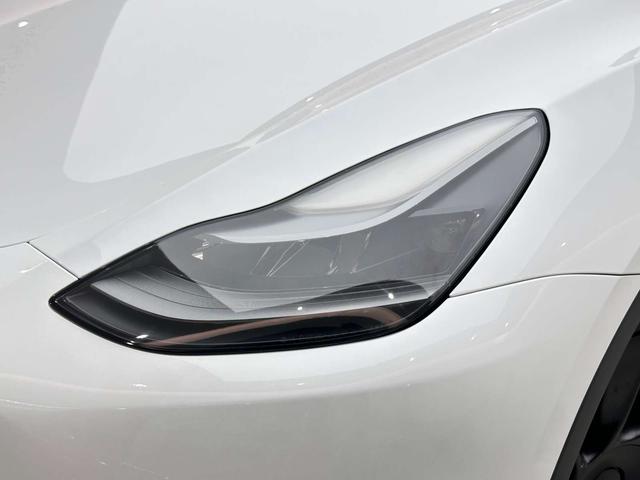 Tesla Model Y 2021 Long Range AWD – фото 19