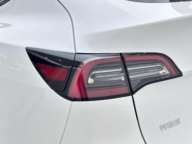 Tesla Model Y 2021 Long Range AWD – фото 21