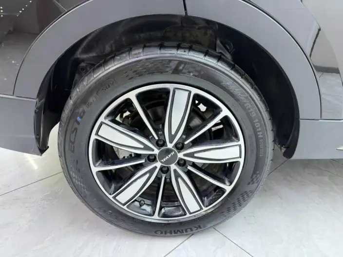 Haval H6 2023 Model Guo Trendy Edition 1.5T Automatic Champion Edition – фото 7