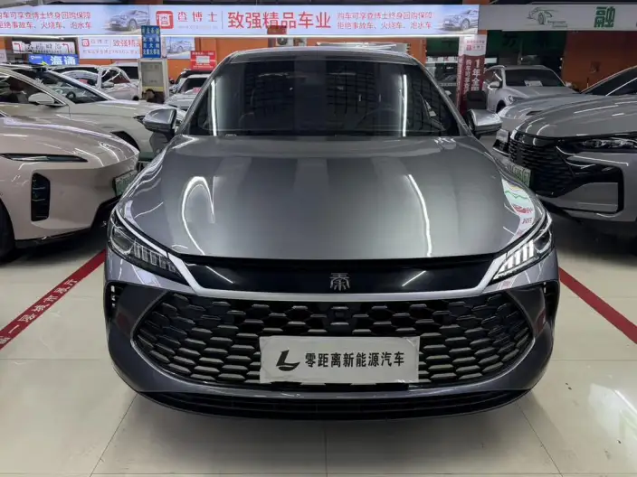 BYD Qin PLUS DM 2025 Model Smart Driving Edition DM-i 55KM Leading Model – фото 2