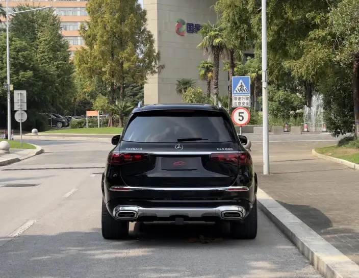 Maybach GLS 2021 Model 4.0T Automatic 4WD 4 seat Parallel Imported – фото 6