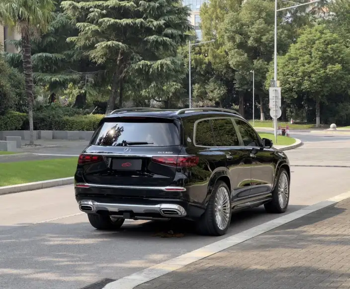 Maybach GLS 2021 Model 4.0T Automatic 4WD 4 seat Parallel Imported – фото 7