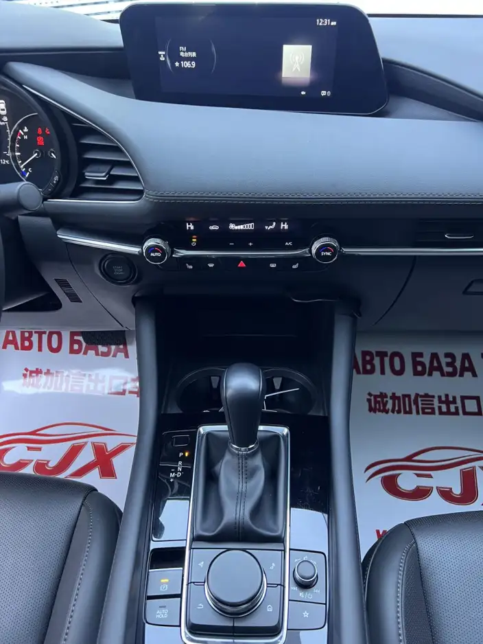 Mazda3 Axela 2023 Model 2.0L Automatic Zhi Ya Edition – фото 9